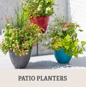 Shop Patio Planters