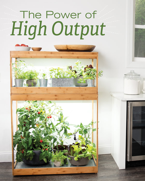 The Power if High Output - Pictured: Home Bamboo Light Garden with herbs and compact vegetables growing next to the kitchen counter.