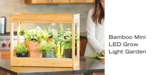 Bamboo Mini LED Grow Light Garden