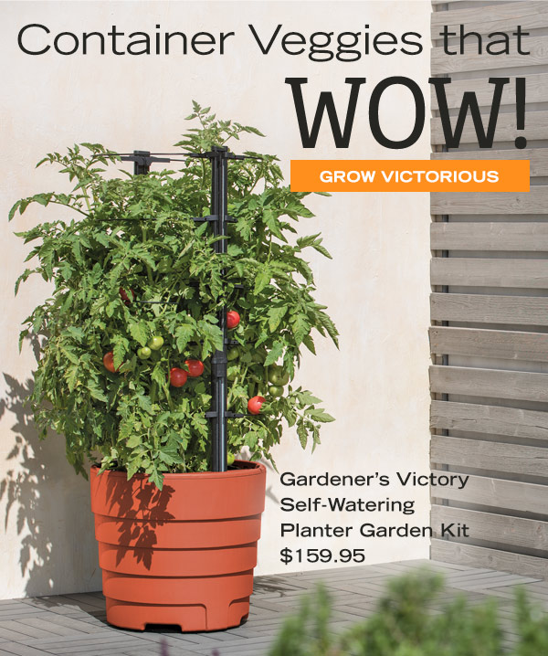 Container Veggies that WOW! Gardener's Victory Self-Watering Planter Garden Kit, $159.95