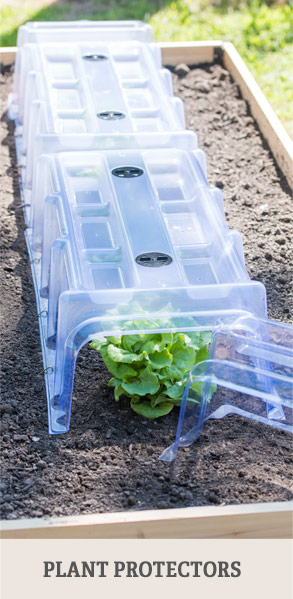 Shop Plant Protectors