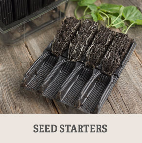 Shop Seed Starters