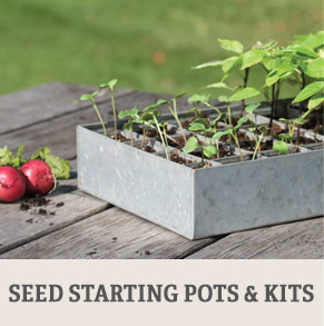 Shop Seed Starting Pots & Kits