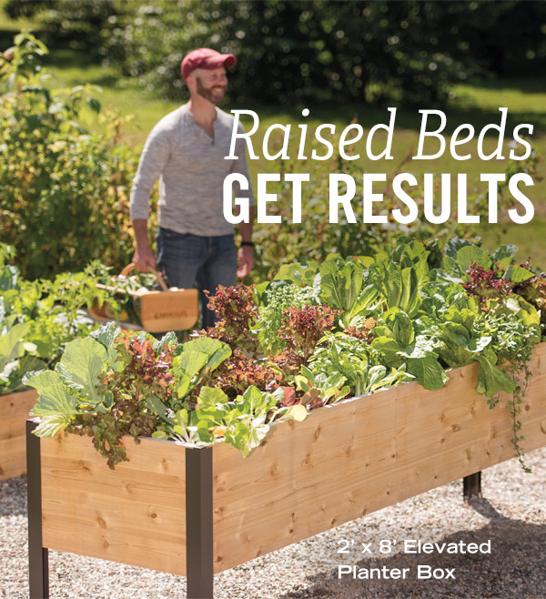 Raised Beds Get Results. Pictured: 2' x 8' Elevated Planter Box
