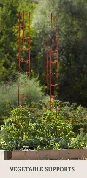 Shop Vegetable Supports