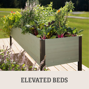 Shop Elevated Beds