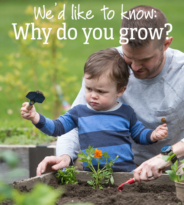 We'd like to know: Why do you grow?