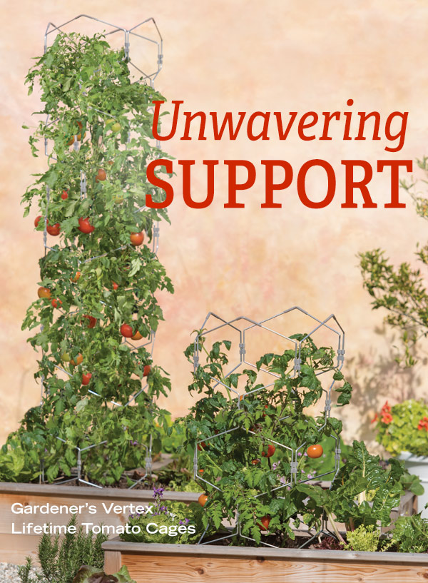 Unwavering Support! Pictured: Gardener's Vertex Lifetime Tomato Cages