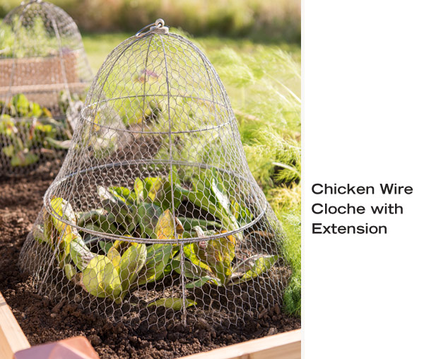 Chicken Wire Cloche with Extension