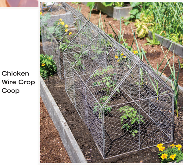 Chicken Wire Crop Coop