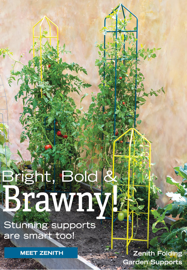 Bright, Bold & Brawny! Stunning supports are smart too! Meet Zenith Folding Supports