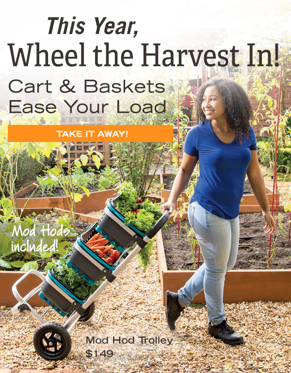 This Year, Wheel the Harvest In! Cart & Baskets Ease Your Load! Pictured: Mod Hod Trolley, $149 (3 Mod Hods Included!)