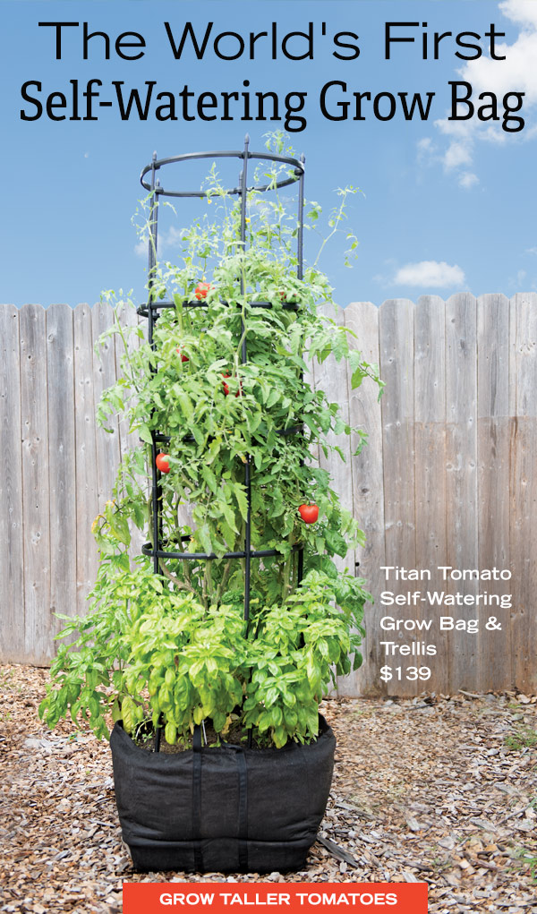 World's First Self-Watering Grow Bag - Titan Tomato Self-Watering Grow Bag & Trellis, $119.95. Grow Taller Tomatoes