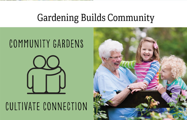 Gardening Builds Community - Community gardens cultivate connection