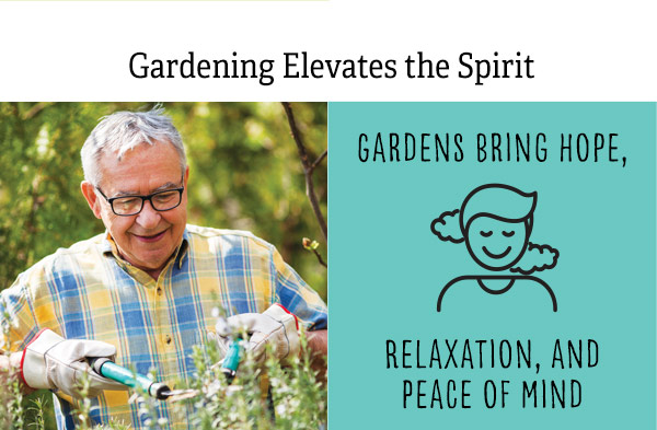 Gardening Elevates the Spirit - Gardens bring home, relaxation, and peace of mind.