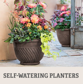 Shop Self-Watering Planters