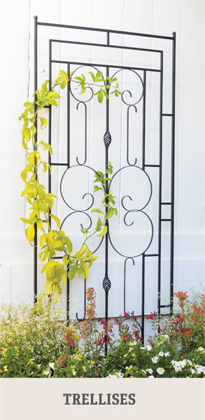 Shop Trellises