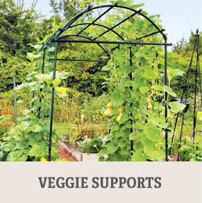 Shop Veggie Supports