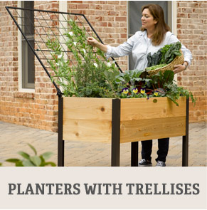 Planters with Trellises