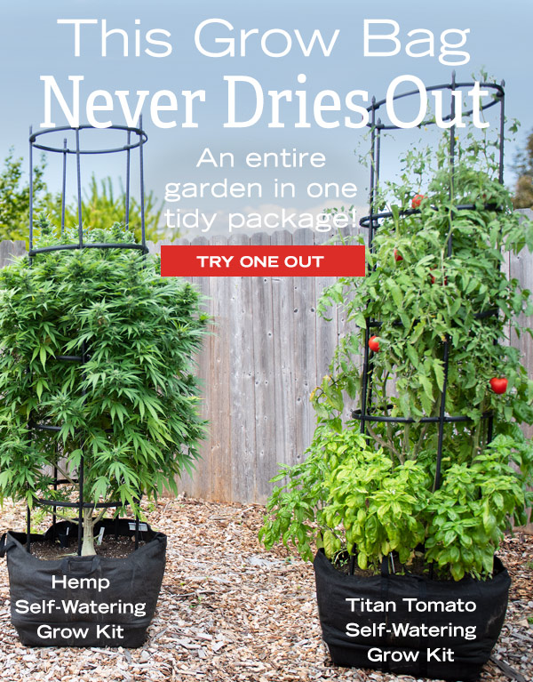 This Grow Bag Never Dries Out - An entire garden in on tidy package! Shop Hemp Self-Watering Grow Kit and Titan Tomato Self-Watering Grow Kit.