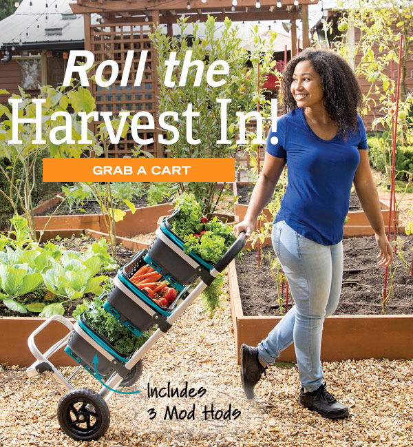 Roll the Harvest In! Grab a Cart - Mod Hod Trolley includes 3 Mod Hods!