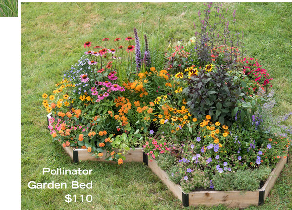 Pollinator Garden Bed, $39.95