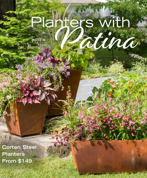Planters with Patina! Pictured: Corten Steel Planters from $149