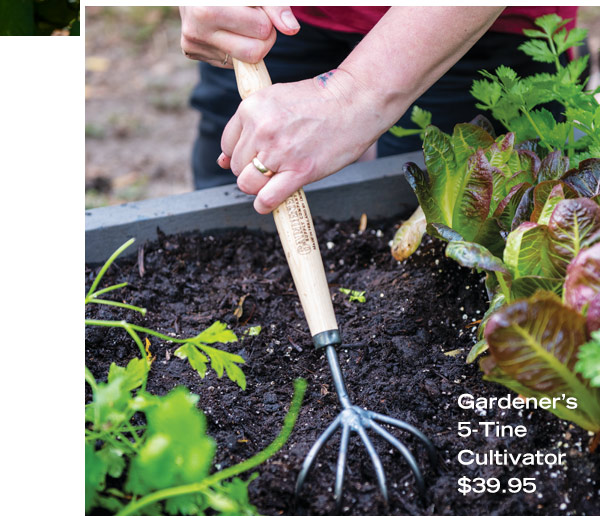 Gardener's 5-Tine Cultivator, $39.95