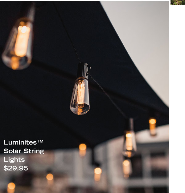 Luminites(tm) Solar String Lights, $29.95