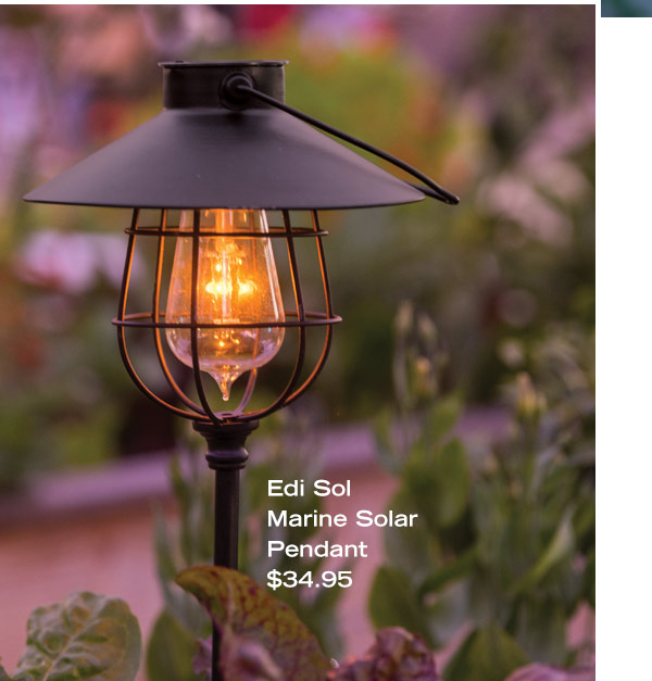 Edi Sol Marine Solar Pendant, $34.95