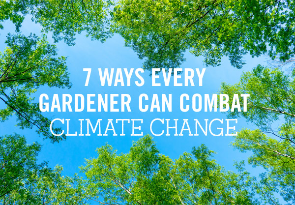 7 Ways Every Gardener Can Combat Climate Change