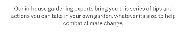 Our in-house gardening experts bring you this series of tips and actions you can take in your own garden, whatever its size, to help combat climate change.