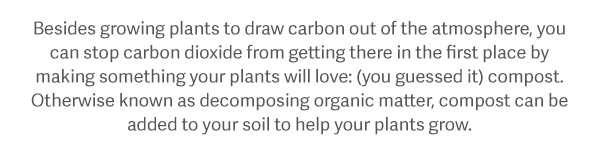 Besides growing plants to draw carbon out of the atmosphere, you can stop carbon dioxide from getting there in the first place by making something your plants will love: (you guessed it) compost. Otherwise known as decomposing organic matter, compost can be added to your soil to help your plants grow.