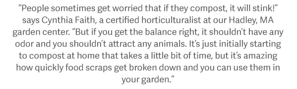 “People sometimes get worried that if they compost, it will stink!” says Cynthia Faith, a certified horticulturalist at our Hadley, MA garden center. “But if you get the balance right, it shouldn’t have any odor and you shouldn’t attract any animals. It’s just initially starting to compost at home that takes a little bit of time, but it’s amazing how quickly food scraps get broken down and you can use them in your garden.”