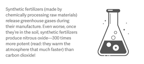 Synthetic fertilizers (made by chemically processed raw materials) release greenhouse gases during their manufacture. Even worse, once they're in the soil, synthetic fertilizers produce nitrous oxide - 300 times more potent (read: they warm the atmosphere that much faster) than carbon dioxide!