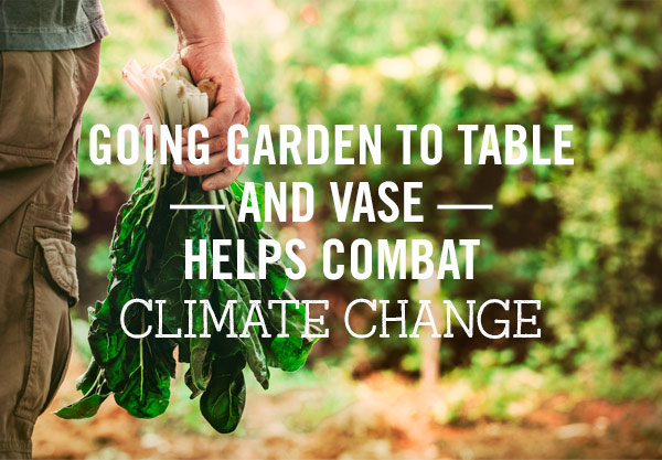 Grow and Eat Your Greens!