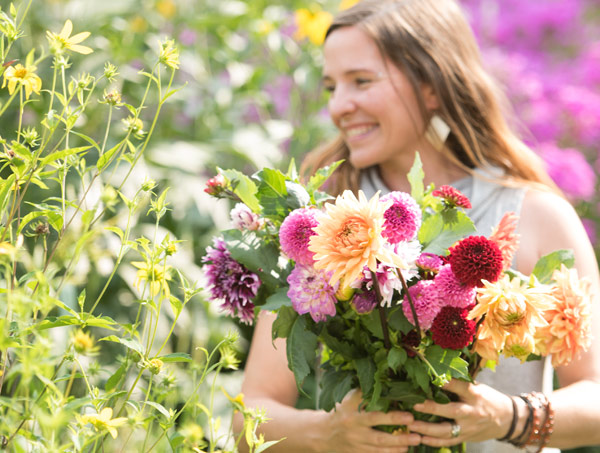 Image of woman holding a bouquet of freshly cut dahlias