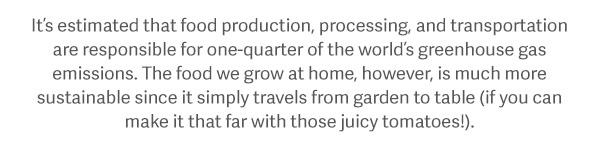 It’s estimated that food production, processing, and transportation are responsible for one-quarter of the world’s greenhouse gas emissions. The food we grow at home, however, is much more sustainable since it simply travels from garden to table (if you can make it that far with those juicy tomatoes!).