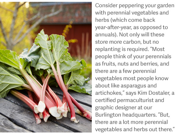 Consider peppering your garden with perennial vegetables and herbs (which come back year-after-year, as opposed to annuals). Not only will these store more carbon, but no replanting is required. “Most people think of your perennials as fruits, nuts and berries, and there are a few perennial vegetables most people know about like asparagus and artichokes,” says Kim Dostaler, a certified permaculturist and graphic designer at our Burlington headquarters. “But, there are a lot more perennial vegetables and herbs out there.”