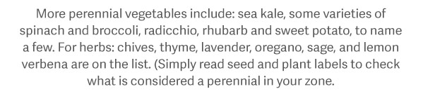 More perennial vegetables include: sea kale, some varieties of spinach and broccoli, radicchio, rhubarb and sweet potato, to name a few. For herbs: chives, thyme, lavender, oregano, sage, and lemon verbena are on the list. (Simply read seed and plant labels to check what is considered a perennial in your zone.