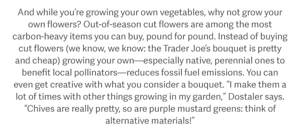 And while you’re growing your own vegetables, why not grow your own flowers? Out-of-season cut flowers are among the most carbon-heavy items you can buy, pound for pound. Instead of buying cut flowers (we know, we know: the Trader Joe’s bouquet is pretty and cheap) growing your own—especially native, perennial ones to benefit local pollinators—reduces fossil fuel emissions. You can even get creative with what you consider a bouquet. “I make them a lot of times with other things growing in my garden,” Dostaler says. “Chives are really pretty, so are purple mustard greens: think of alternative materials!”