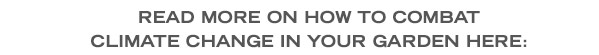 Read more on how to combat climate change in your garden here: