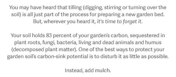 You may have heard that tilling (digging, stirring or over-turning the soil) is all just part of the process for preparing a new garden bed. But, wherever you heard it, it's time to forget it. Your soil holds 83 percent of your garden’s carbon, sequestered in plant roots, fungi, bacteria, living and dead animals and humus (decomposed plant matter). One of the best ways to protect your garden soil’s carbon-sink potential is to disturb it as little as possible. Instead, add mulch.