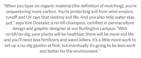 “When you layer on organic material [the definition of mulching], you’re sequestering more carbon. You’re protecting soil from wind erosion, runoff and UV rays that destroy soil life. And you also help water stay put,” says Kim Dostaler, a no-till champion, certified in permaculture design and graphic designer at our Burlington campus. “With no-till/no-dig, your plants will be healthier, there will be more soil life, and you’ll need less fertilizers and weed killers. It’s a little more work to set up a no-dig garden at first, but eventually it’s going to be less work and better for the environment.”