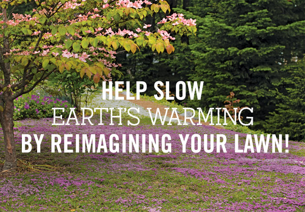 Help Slow Earths Warming by Reimagining Your Lawn