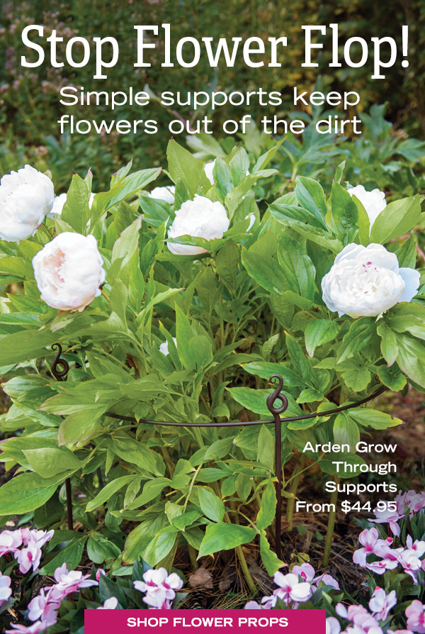 Stop Flower Flop! Simple supports keep flowers out of the dirt. Pictured: Arden Grow Through Supports, From $44.95 - Shop Flower Props