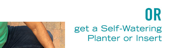 Or get a Self-Watering Planter or Insert