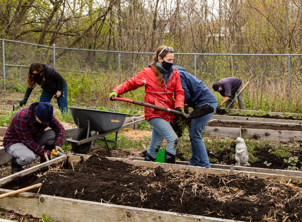 Pictured: Volunteers fixing raised beds, weeding, and adding compost at the 9th annual Day in the Dirt.