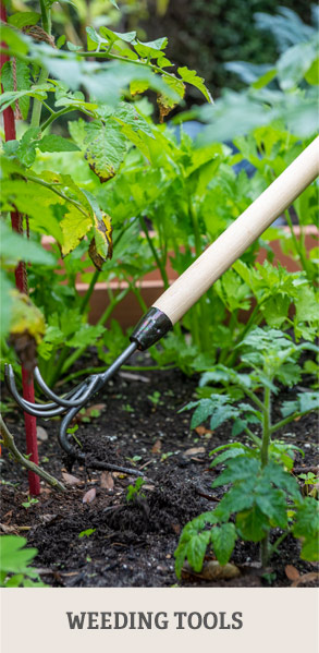 Shop Weeding Tools