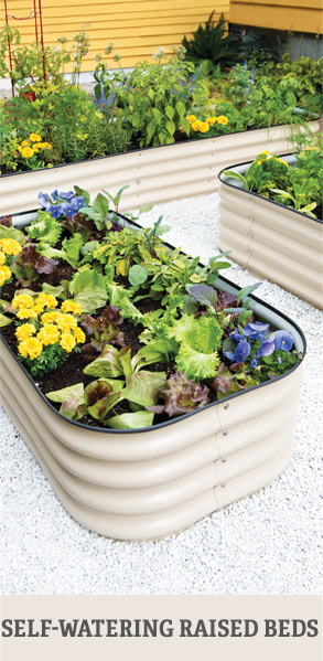 Shop Self-Watering Raised Beds